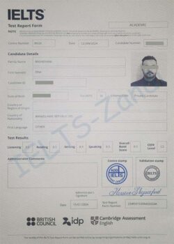 TRF 21 Zandi English