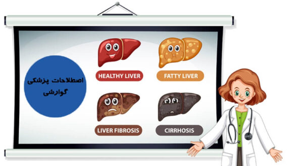 اصطلاحات پزشکی معده به انگلیسی